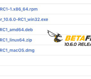 Betaflight Configurator 10.6.0 (4.1)  Release Candidate 1
