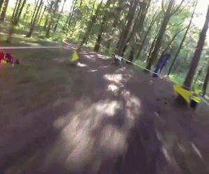 drone-fpv-racer-foret-gif